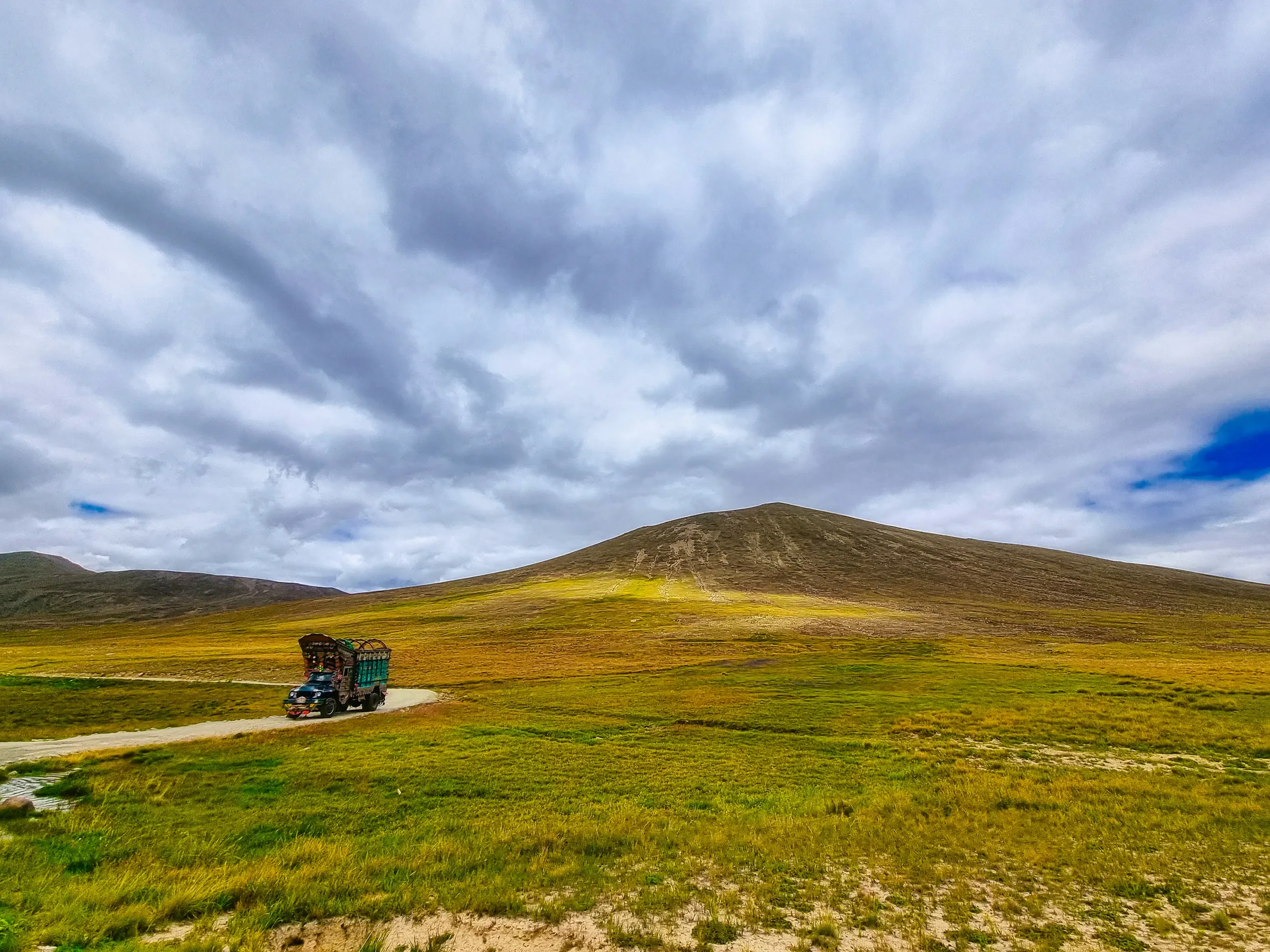 Wildflower meadows of the Deosai Plains with snow-capped peaks on the horizon
